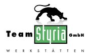 Bild zeigt das Logo von Team Styria.